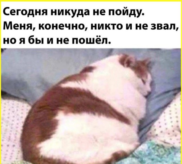 тРРРидцать тРРРи от 13 августа