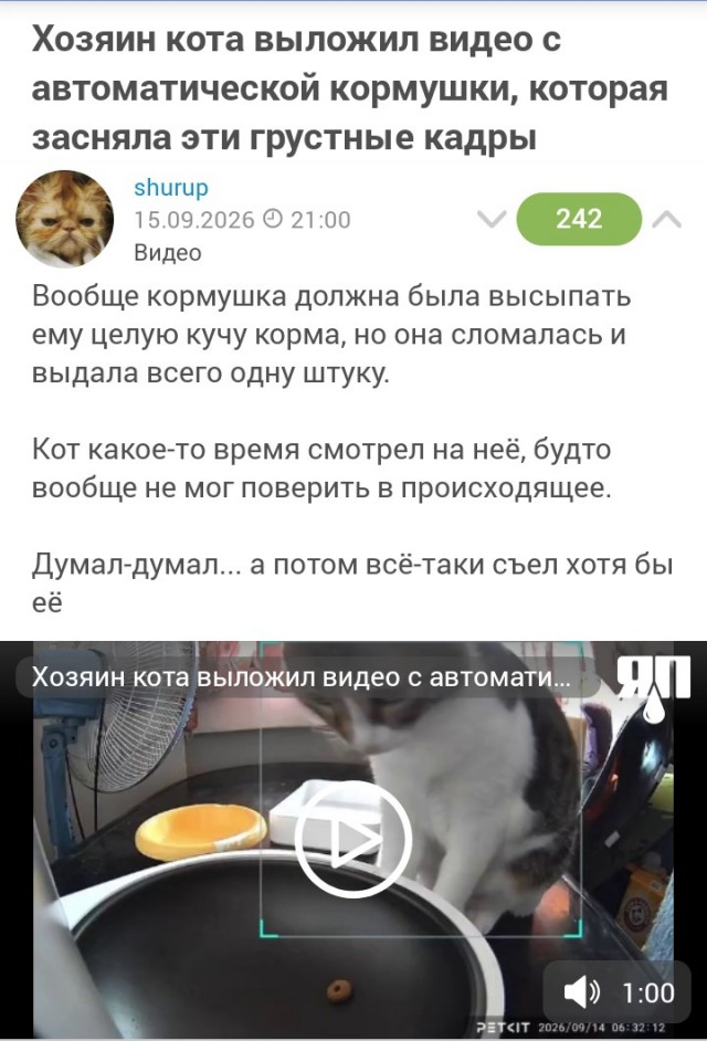 Где-то есть гречка и изюм