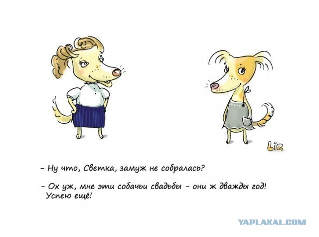 мои персонажи