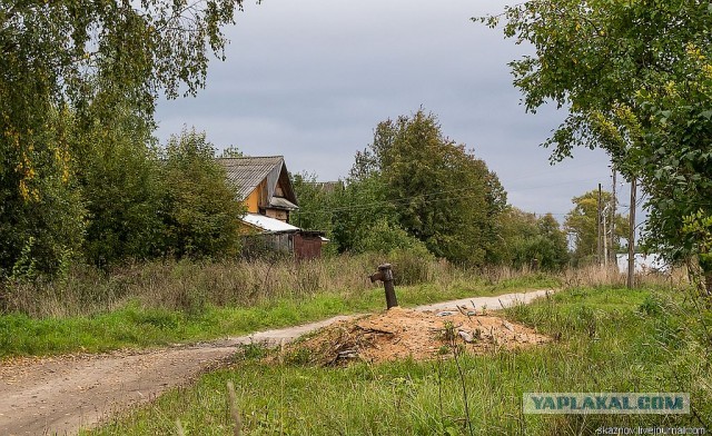 Экстримальная поездка за грибами.