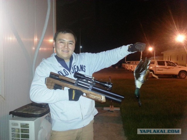 Пневматические винтовки