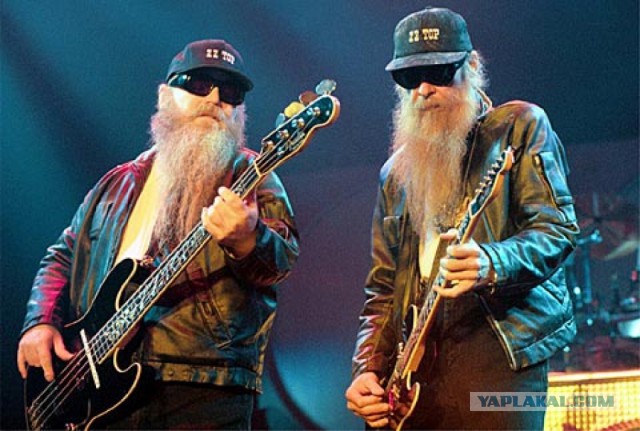 Выращиваем бороду в комнатных условиях