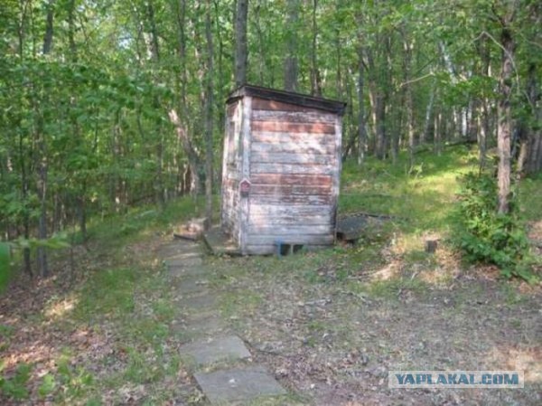 Сортир в лесу