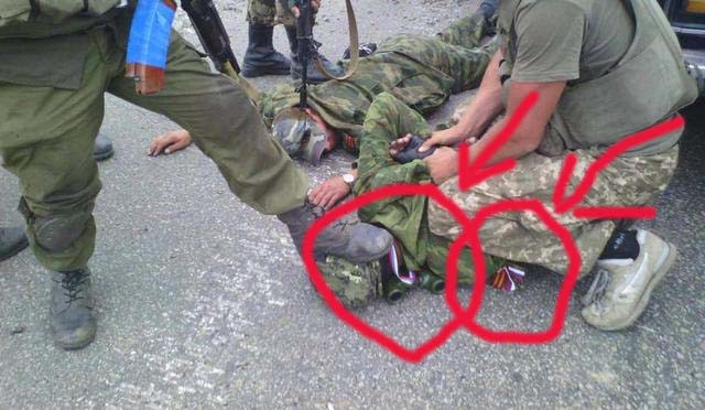 Помойка опять отличилась