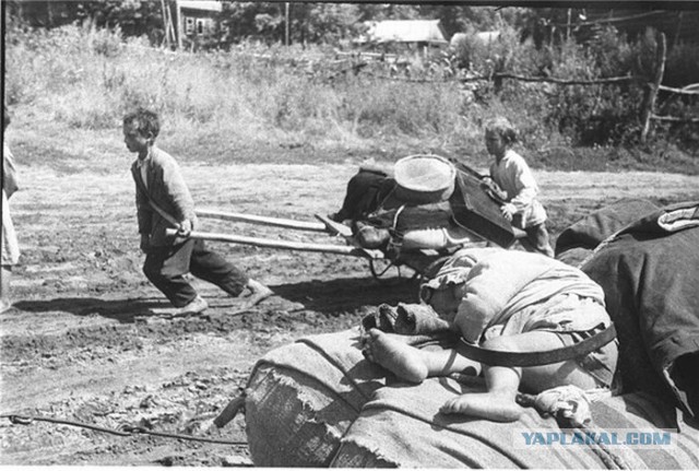 Фотографии войны 1941-1945 годов