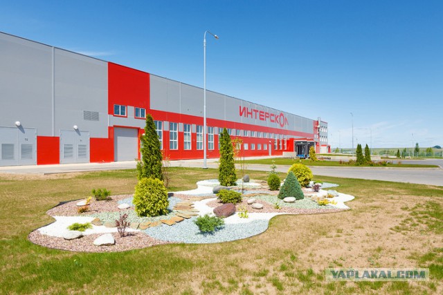 Курс доллара впервые поднялся выше 42 руб.
