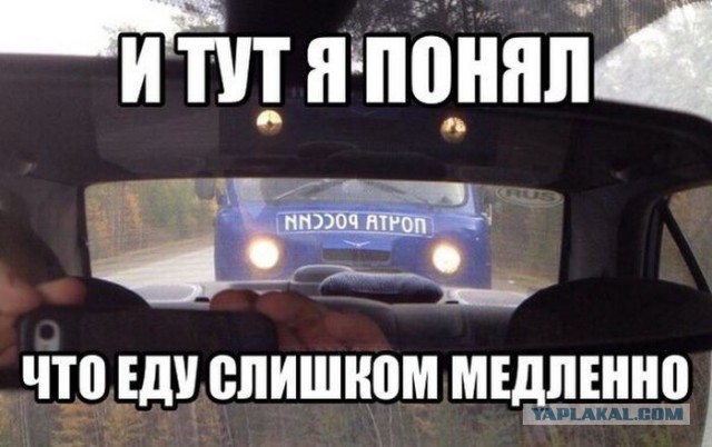 Веселые картинки