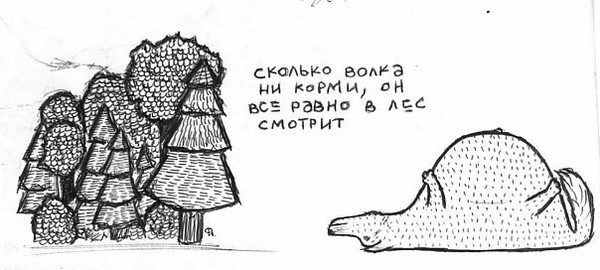 Сколько волка ни корми