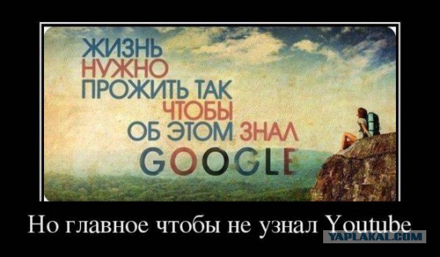 41 веселая картинка
