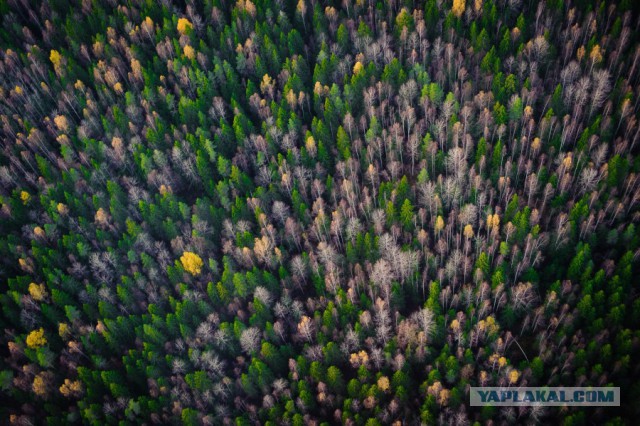 Россия глазами иностранных фотопрофессионалов