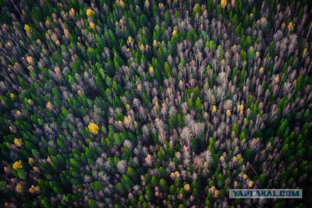 Россия глазами иностранных фотопрофессионалов