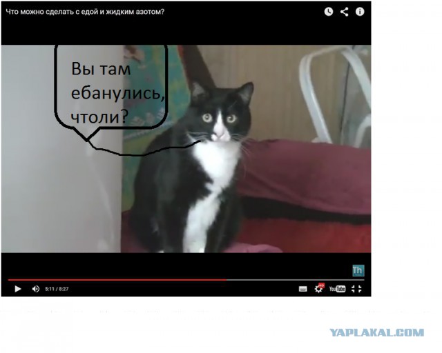 Что можно сделать с едой и жидким азотом?