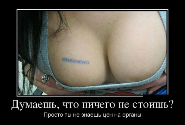 Прикольные картинки