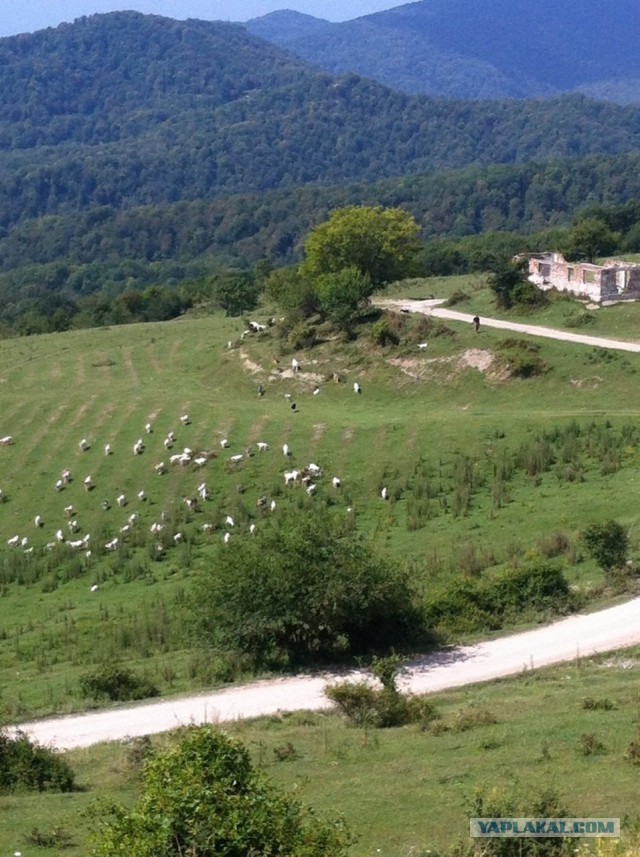 Немного моих фото, авторское