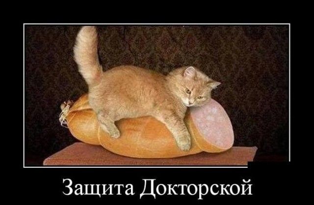 Подборка прикольных фото