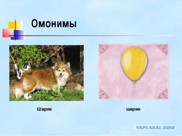 Поиграем в омонимы