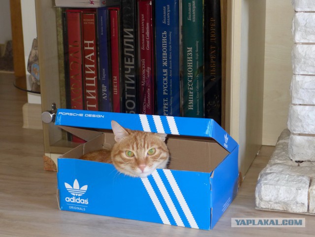 Человек...Что это, такое было?!