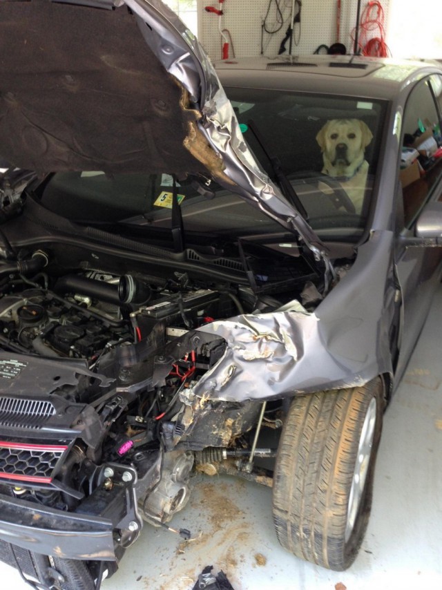 Интересные и веселые картинки