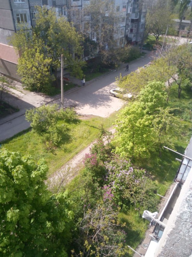 А что у вас за окном?