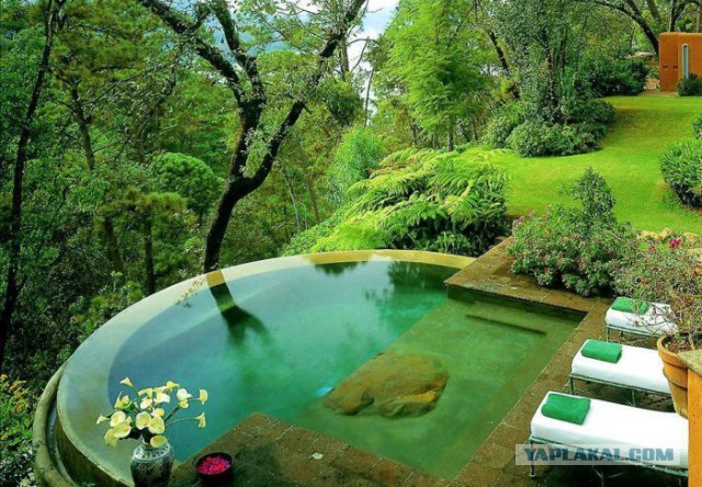 Подборка интересных и прикольных фото