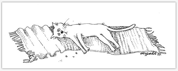 Правила поведения кошек (9 правил)