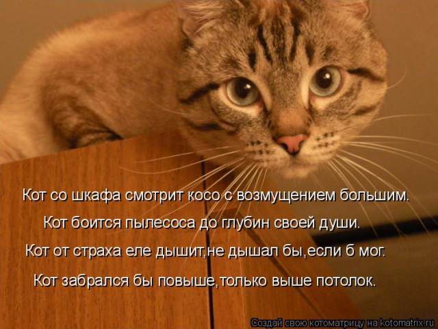 10 простых проблем, решения для которых всё ещё не найдены