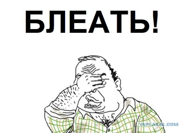 Названы финалисты чемпионата мира по бровям без правил