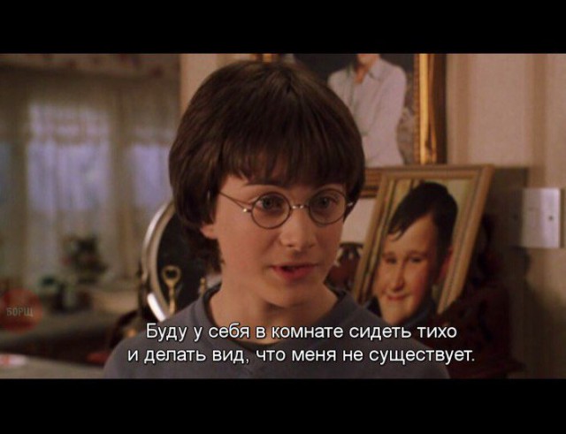 Порция картинок