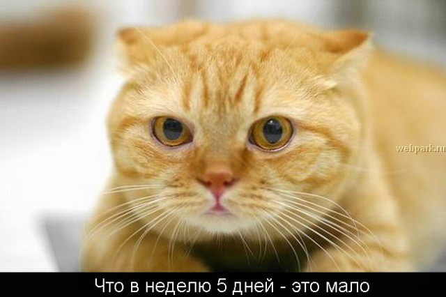 Суббота - рабский день!