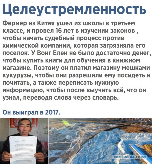 Подборка интересных и веселых картинок