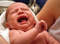 Скандал из-за Павсикакия