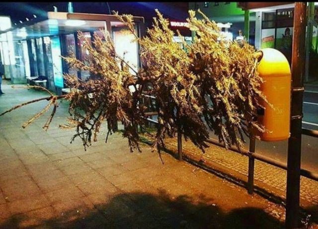 Подборка интересных и веселых картинок