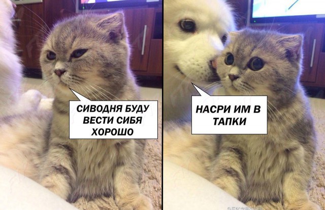 Надписи и прочие скриншоты