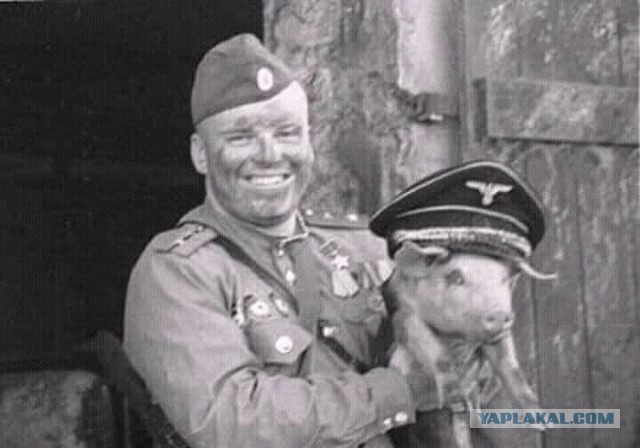 Задаем вопросы на прямую линию с ВВП