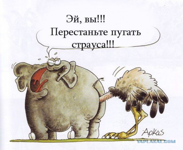 Многоуважаемому президенту