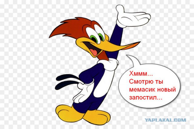 Киберстукачи. Кибердружина копирует мемы с ваших страниц в соцсетях и пишет заявления в полицию - взгляд изнутри