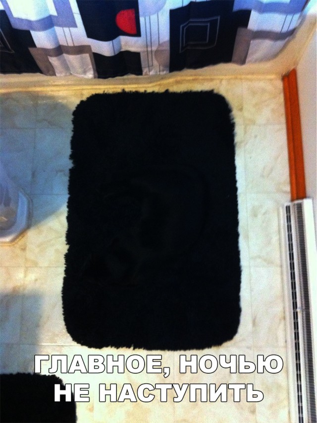 Немного милоты
