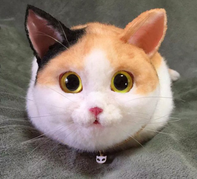 Прикольных котов пост