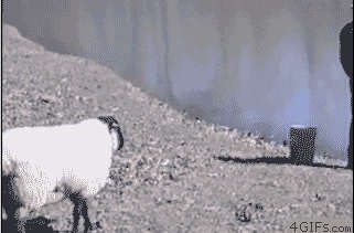 Получите, распишитесь.