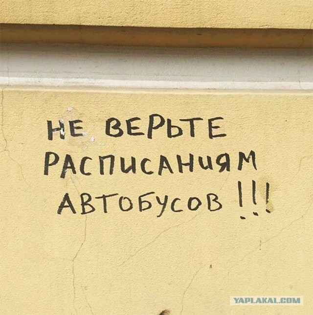 «Бродячие» философы: 17 глубокомысленных заметок в транспорте и на улицах