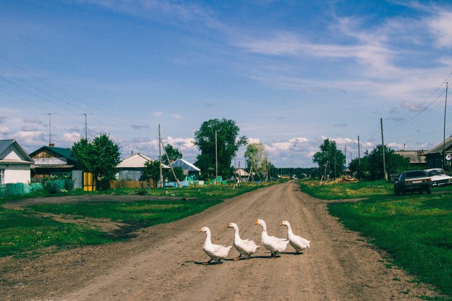 Красота сельских дорог