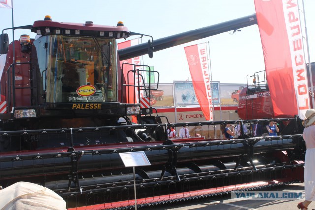 Побывали  c  сыном на выставке БЕЛАГРО