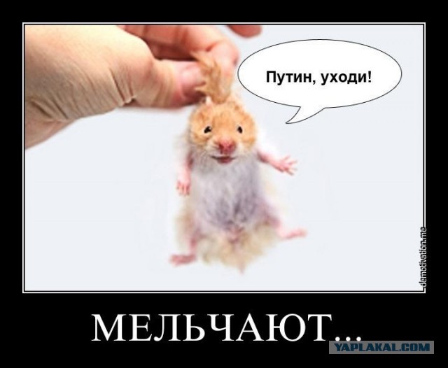 Граждане, будьте готовы к провокациям - мэр предупредил