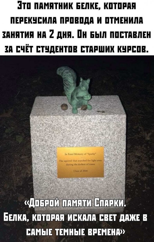 Смехопанорама