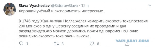 Бредзона 27.01.2020