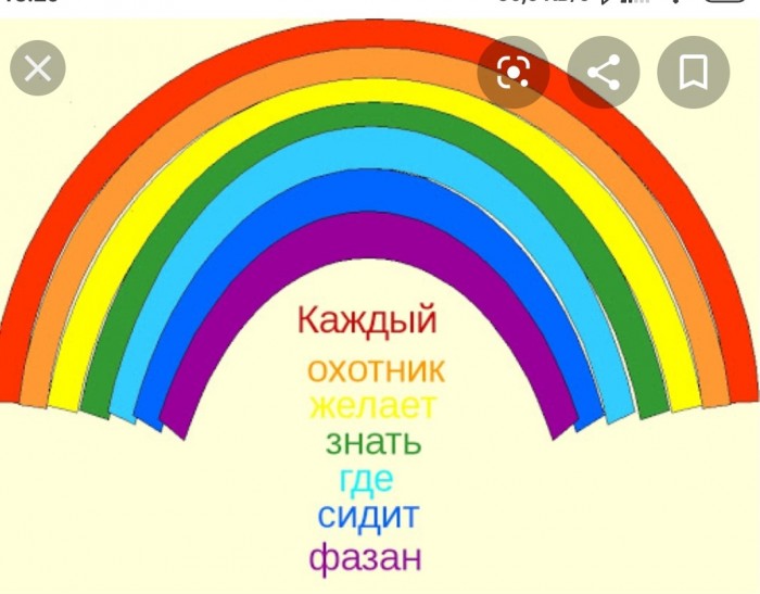 На Сенатской площади в Петербурге проходят задержания активистов, вышедших на пикеты против поправок в Конституцию