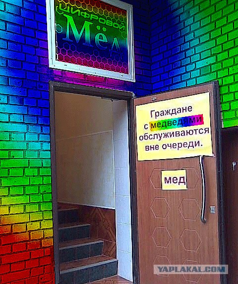 Фотожаба: Хочешь меда - бери с собой медведя
