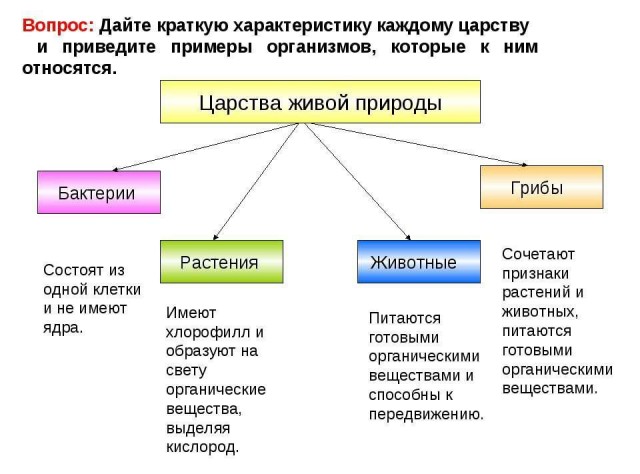 Юмор в картинках 7.10.20