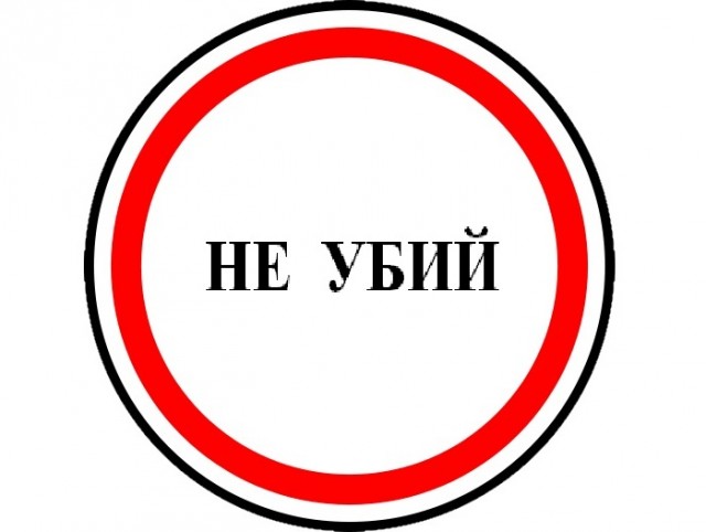 Оригинальное решение проблемы камер