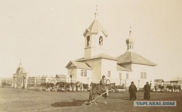 "Балы, красавицы, лакеи, юнкера, и вальсы Шуберта, и хруст французской булки"
